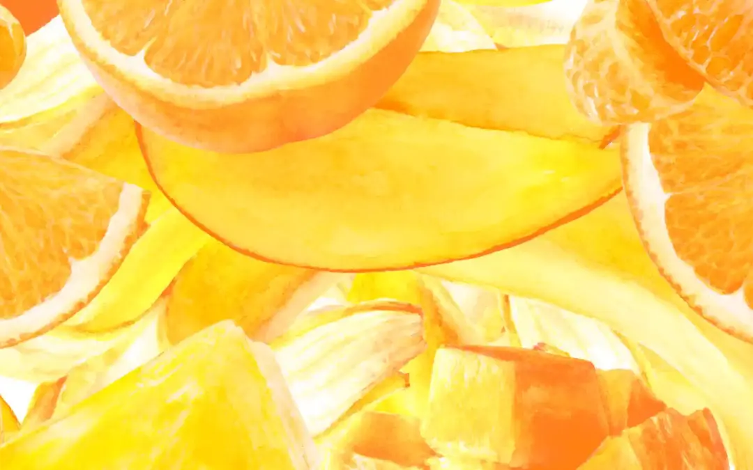 【2025】Adobe Illustrator Plans and Pricing – Offers and Discounts