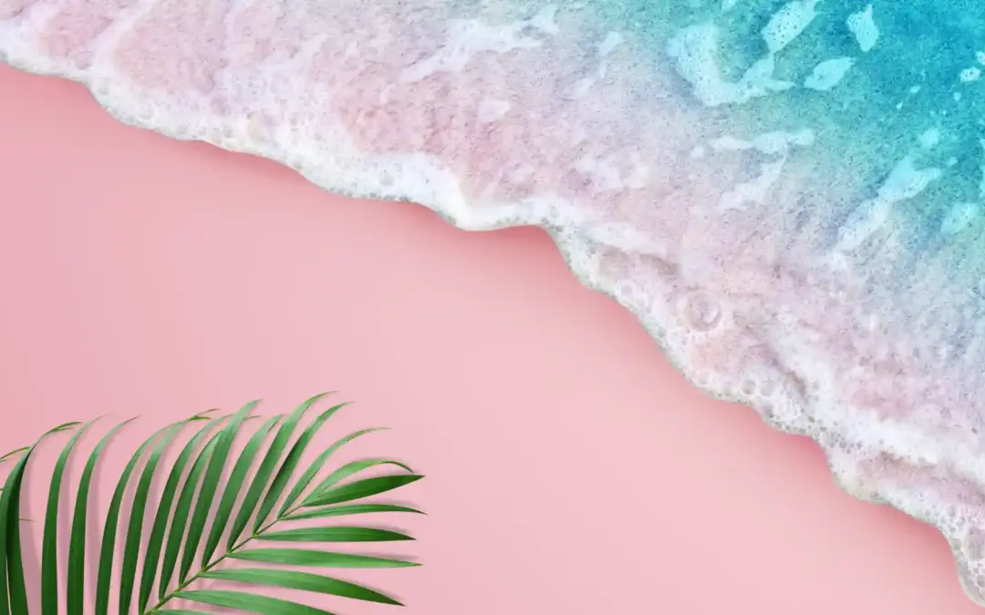 【2025】Adobe XD Plans and Pricing – Offers and Discounts