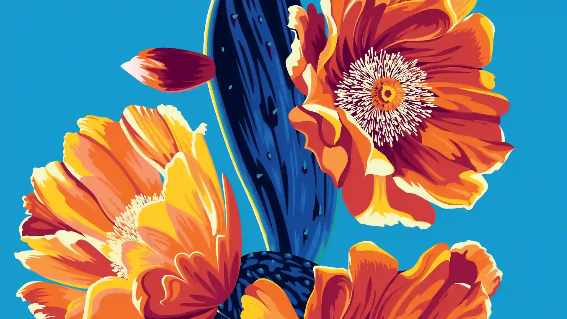 【2025】Adobe Lightroom Classic Plans and Pricing, Offers and Discounts