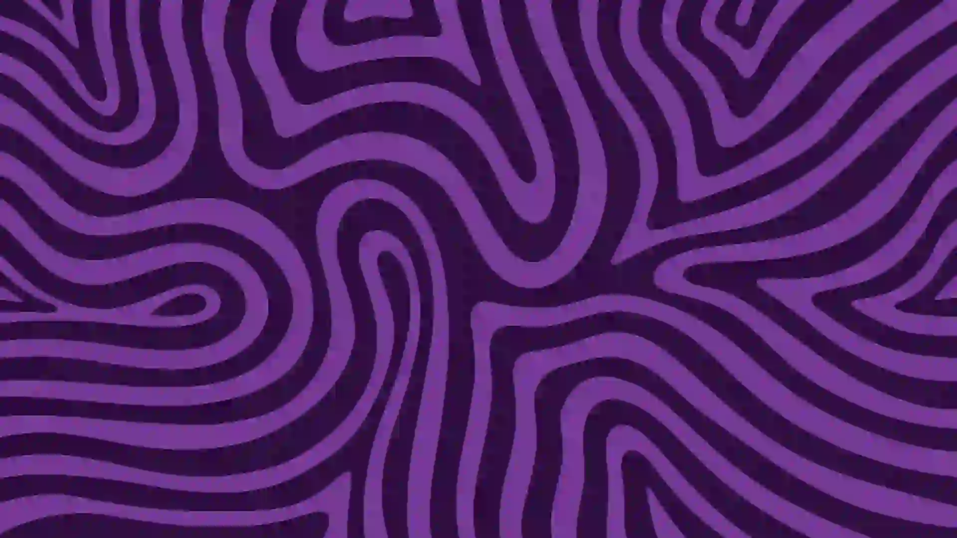 adobe-animate-lifetime-plan-cov