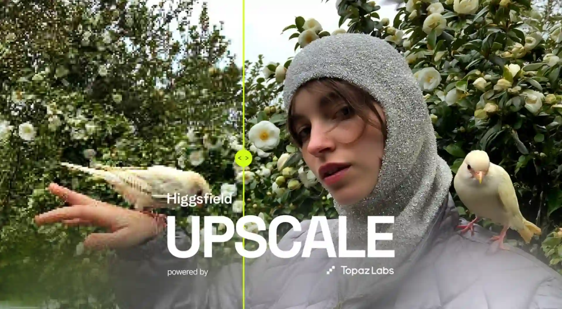 higgsfield-upscaler-powered-by-topaz-labs-Screenshot202508