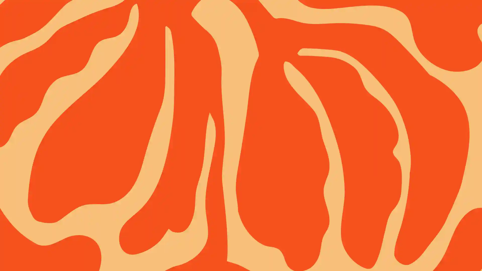 adobe-illustrator-student-plan-cov