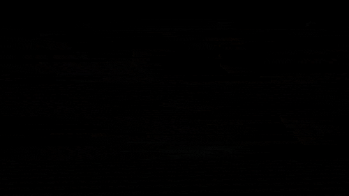 Google_Flow_GIF_09Drag_And_Drop_CM04-16x9-compressed